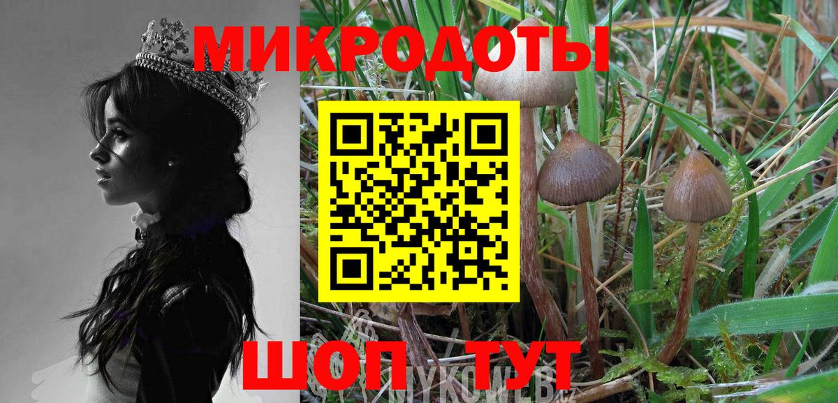 Псилоцибиновые грибы Psilocybe  Вход с VPN  Прохладный  Псилоцибиновые грибы Psilocybine cubensis 