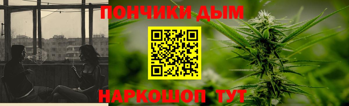 Каннабис планчик Прохладный